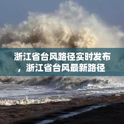 浙江省台风路径实时发布，浙江省台风最新路径 