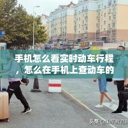 手机怎么看实时动车行程，怎么在手机上查动车的车次 