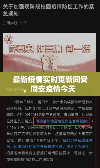 最新疫情实时更新同安，同安疫情今天 