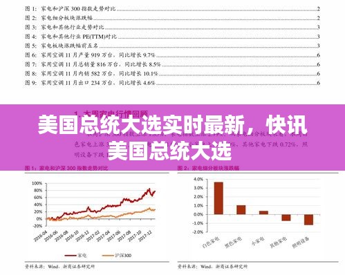 美国总统大选实时最新，快讯美国总统大选 