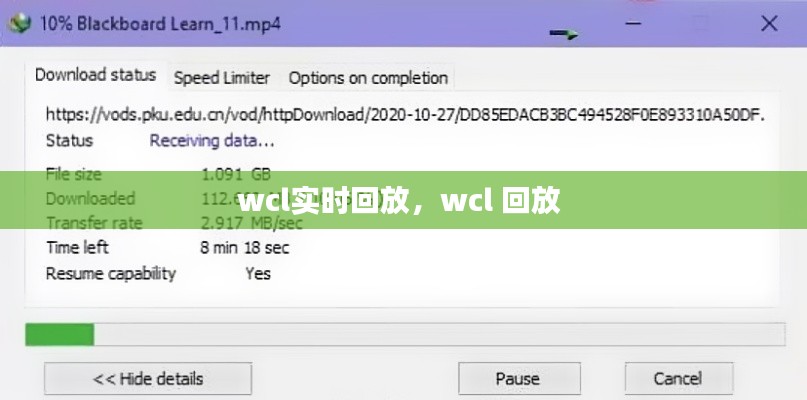 wcl实时回放，wcl 回放 