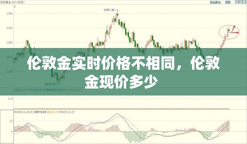 2024年12月18日 第7页