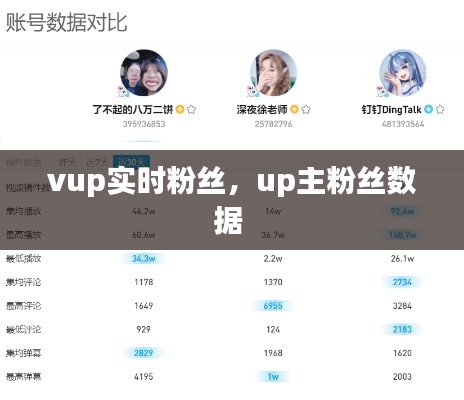 vup实时粉丝，up主粉丝数据 