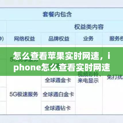 怎么查看苹果实时网速，iphone怎么查看实时网速 