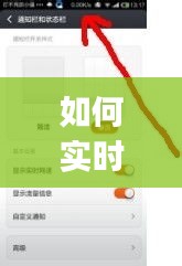 如何实时显示ip，如何实时显示流量使用情况 