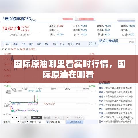 国际原油哪里看实时行情，国际原油在哪看 