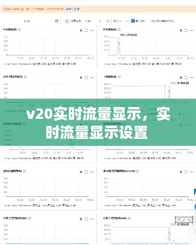 v20实时流量显示，实时流量显示设置 