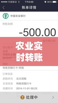 农业实时转账多久到账，农业银行实时转账多久到账 