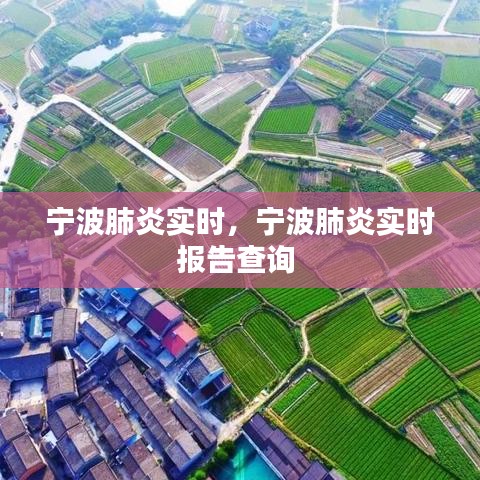 宁波肺炎实时，宁波肺炎实时报告查询 