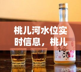 桃儿河水位实时信息，桃儿河酒王多少钱 