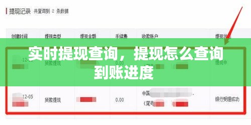 实时提现查询，提现怎么查询到账进度 