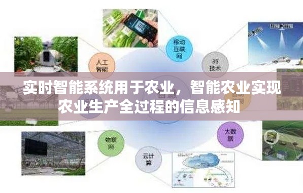 实时智能系统用于农业，智能农业实现农业生产全过程的信息感知 