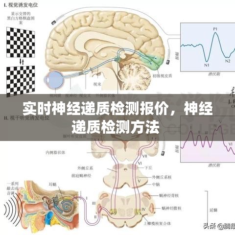 实时神经递质检测报价，神经递质检测方法 