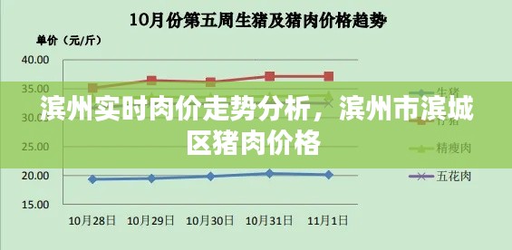 滨州实时肉价走势分析，滨州市滨城区猪肉价格 