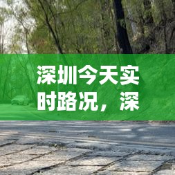 深圳今天实时路况，深圳今天实时路况最新 