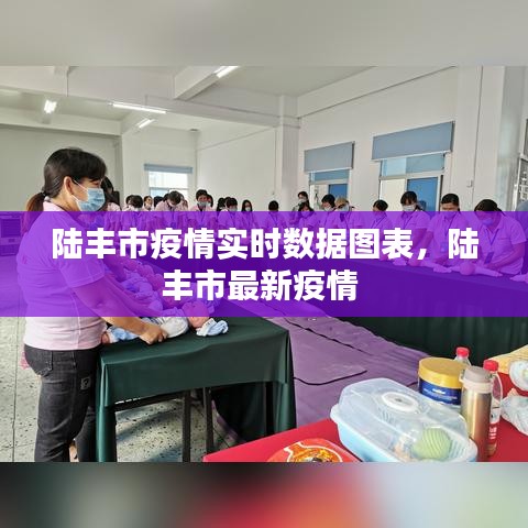 陆丰市疫情实时数据图表，陆丰市最新疫情 