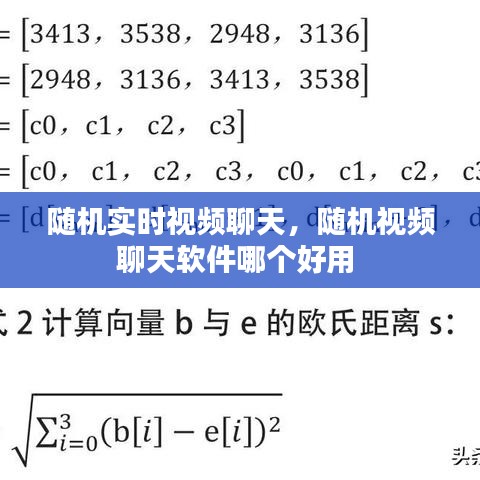 随机实时视频聊天，随机视频聊天软件哪个好用 