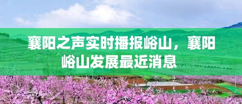 襄阳之声实时播报峪山，襄阳峪山发展最近消息 