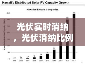 光伏实时消纳，光伏消纳比例计算表 