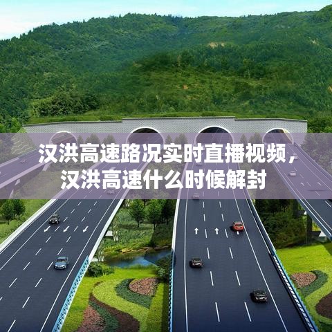 汉洪高速路况实时直播视频，汉洪高速什么时候解封 