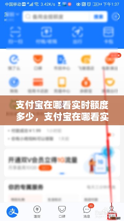 支付宝在哪看实时额度多少，支付宝在哪看实时额度多少了 
