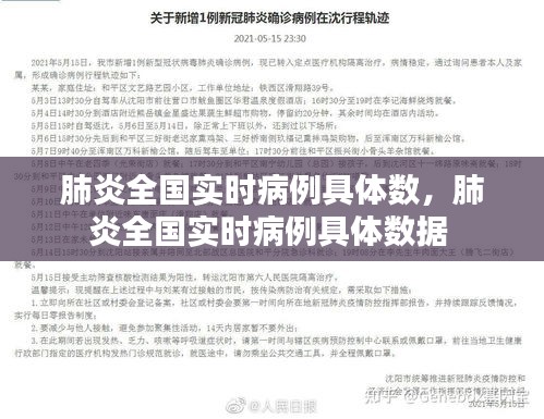 肺炎全国实时病例具体数，肺炎全国实时病例具体数据 