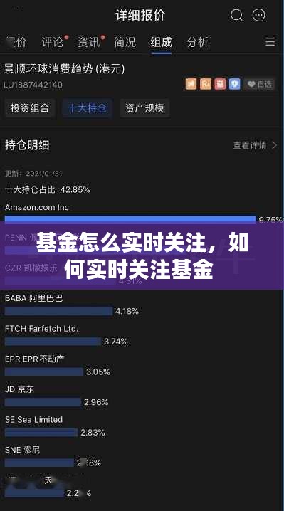 基金怎么实时关注，如何实时关注基金 