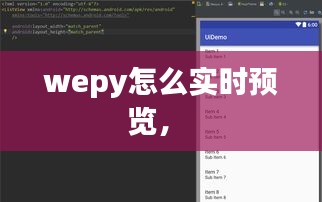 wepy怎么实时预览， 