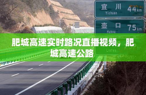 肥城高速实时路况直播视频，肥城高速公路 