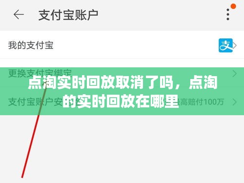 点淘实时回放取消了吗，点淘的实时回放在哪里 