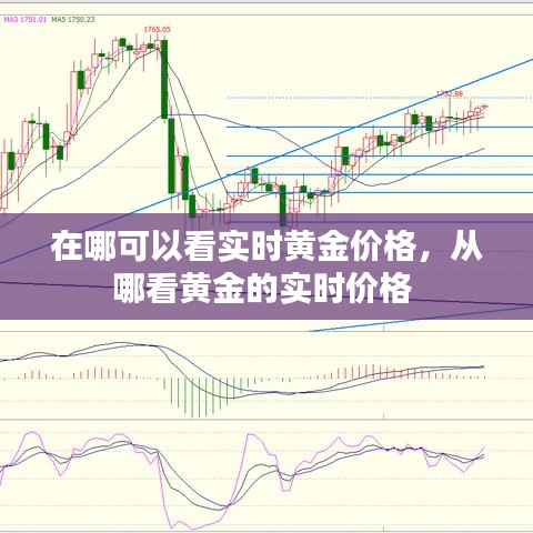 在哪可以看实时黄金价格，从哪看黄金的实时价格 