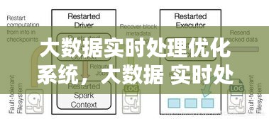 大数据实时处理优化系统，大数据 实时处理 