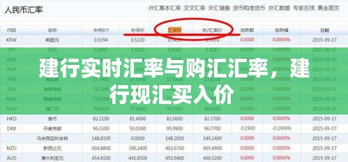 建行实时汇率与购汇汇率，建行现汇买入价 