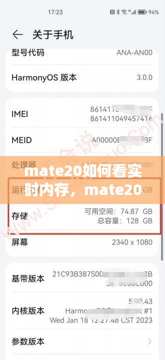 mate20如何看实时内存，mate20怎么看内存 