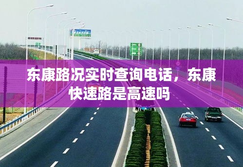 东康路况实时查询电话，东康快速路是高速吗 