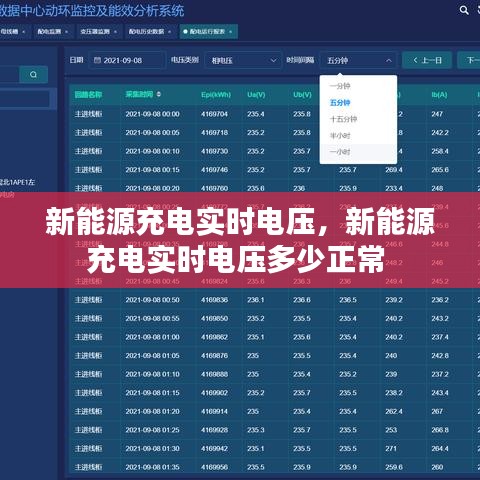 新能源充电实时电压，新能源充电实时电压多少正常 