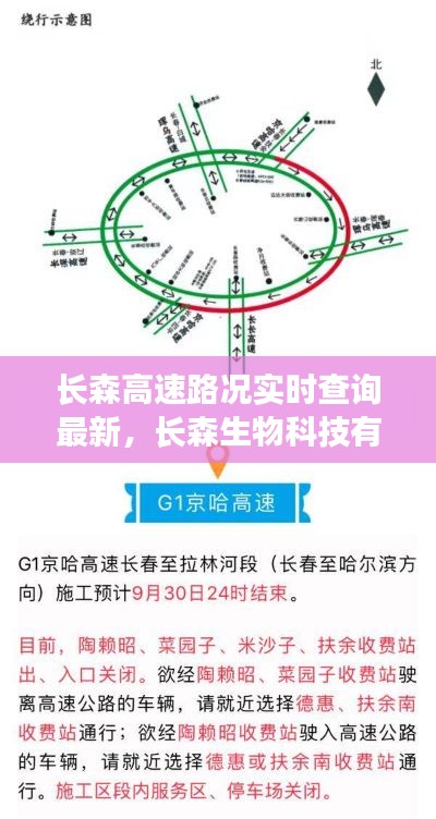 长森高速路况实时查询最新，长森生物科技有限公司 