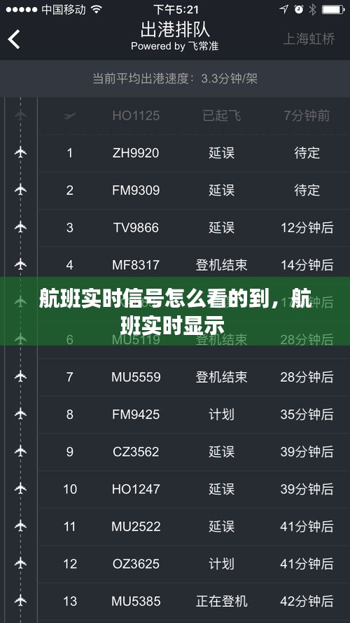 航班实时信号怎么看的到，航班实时显示 