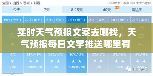 2024年12月 第4页