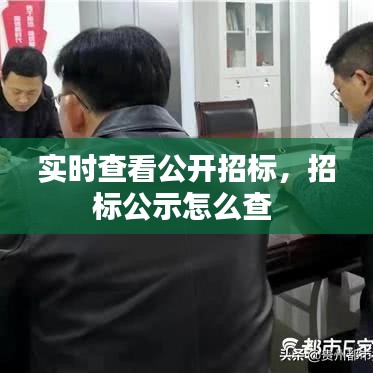 实时查看公开招标，招标公示怎么查 