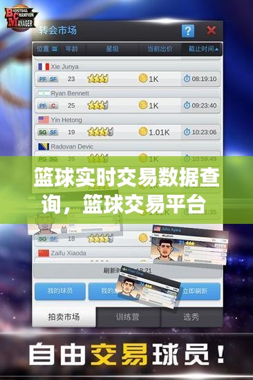 篮球实时交易数据查询，篮球交易平台 