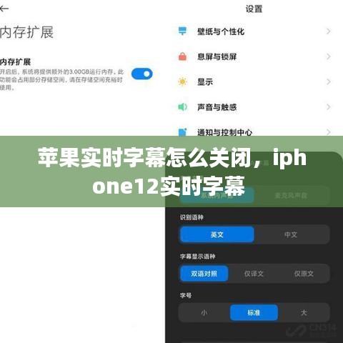 苹果实时字幕怎么关闭，iphone12实时字幕 