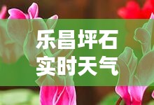 乐昌坪石实时天气预报，天气预报乐昌坪石镇 