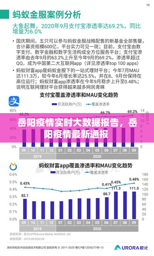 岳阳疫情实时大数据报告，岳阳疫情最新通报 