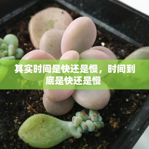 其实时间是快还是慢，时间到底是快还是慢 