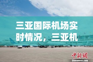 三亚国际机场实时情况，三亚机场 疫情 