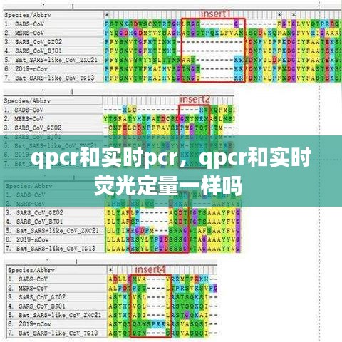 qpcr和实时pcr，qpcr和实时荧光定量一样吗 