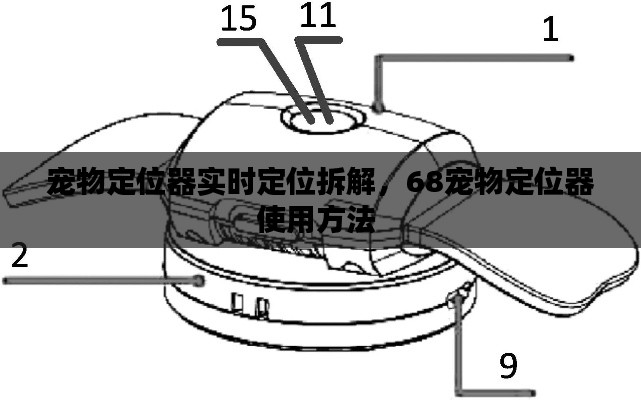 宠物定位器实时定位拆解，68宠物定位器使用方法 