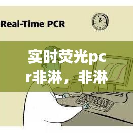 实时荧光pcr非淋，非淋荧光定量pcr的检测 