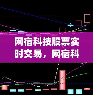 网宿科技股票实时交易，网宿科技股票最高价是多少 